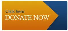 donate_now